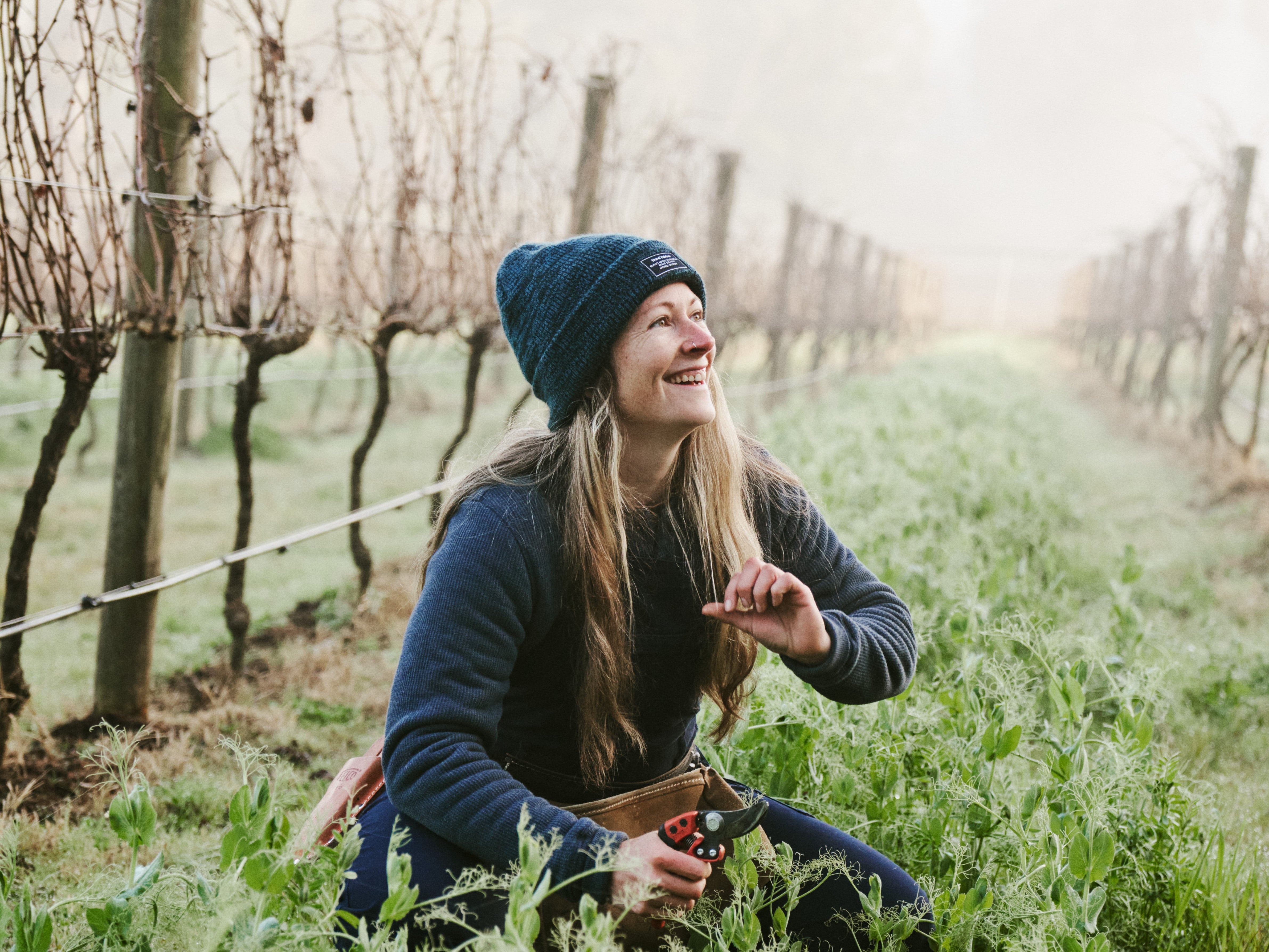 Chardonnay | The Queen of Grapes