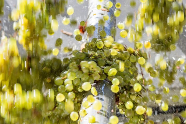 Dolan March2015 392.crop 768x512 1